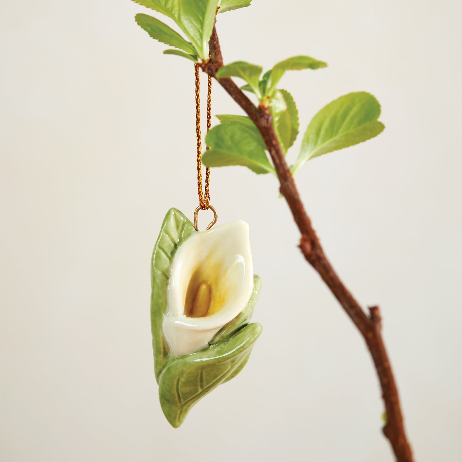 Celebrate Flowers 10-Piece Ornament Set - Image 5